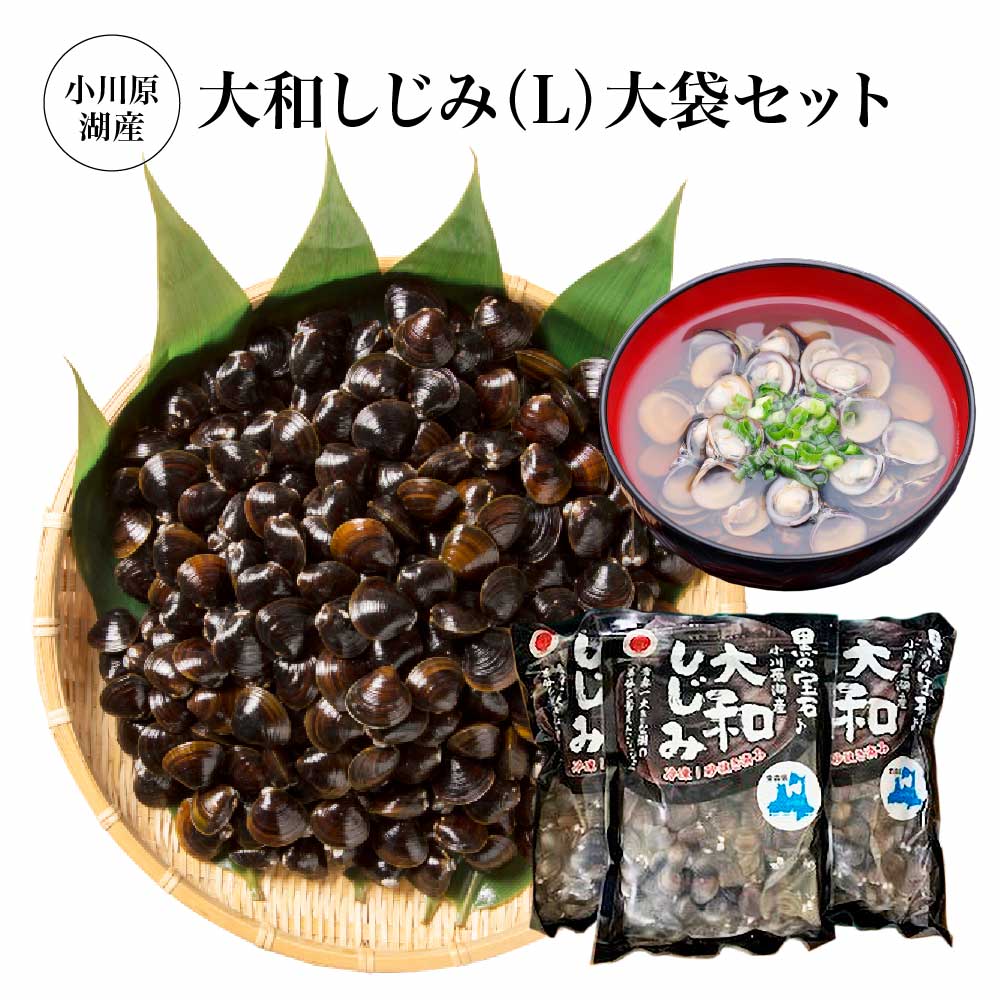 【ふるさと納税】小川原湖産　大和しじみ(L)大袋セット　1kg×3パック/計3kg　【02408-0129】 大和しじみ 魚介 お取り寄せ グルメ ご褒美 小川原湖 東北町 青森県 冷凍 小川原湖漁業協同組合