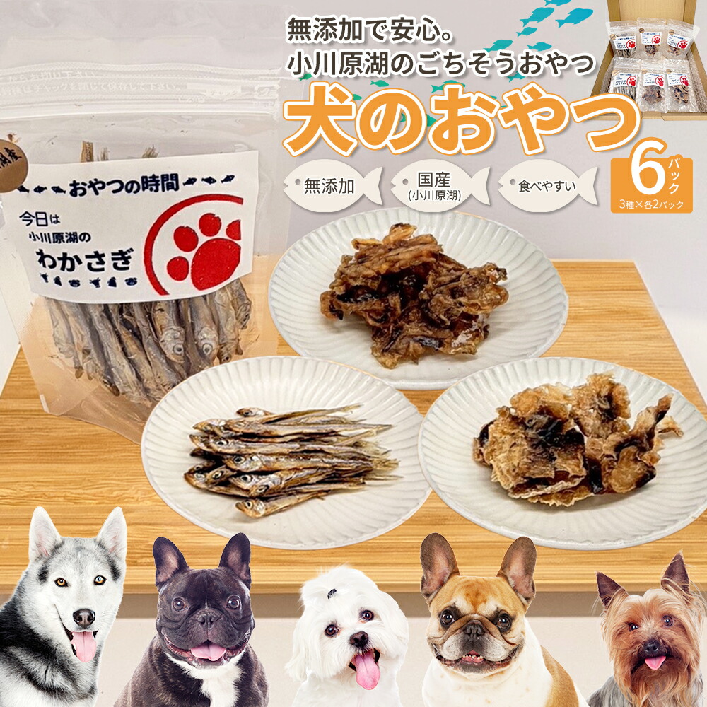 【ふるさと納税】犬のお兄ちゃん 小川原湖のお魚3種 各2容器に並べる 【02408-0204】犬 飼い犬 愛玩動物 ボンネット エサ ごはん ご懸賞金 無付け加える 無染め付ける 保護すること料不当てはめる 思わしい 国産 常温 青森県 丑寅町 狭い会社組織 進藤水産