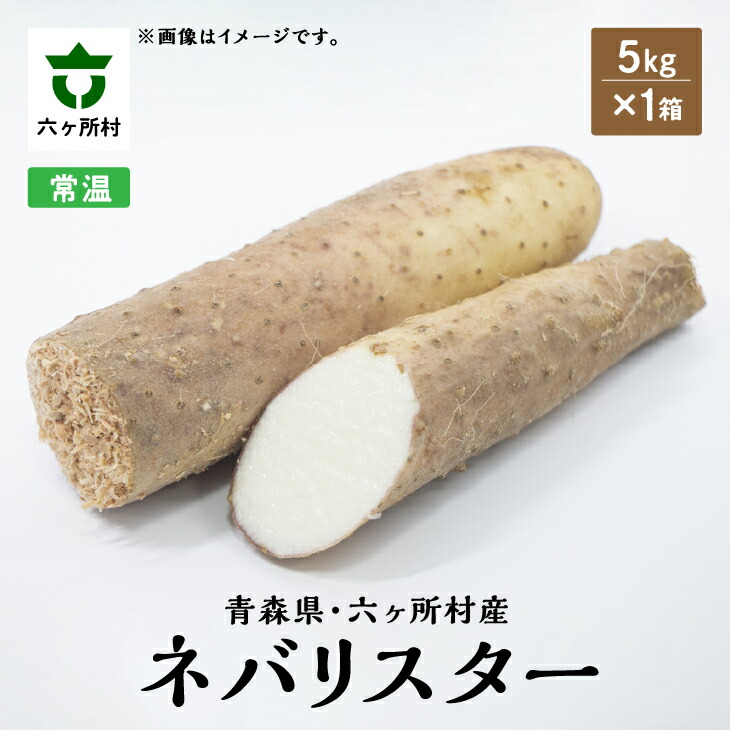 【ふるさと納税】《先行予約》2025年12月中旬～出荷　青森県六ヶ所村産 ネバリスター 5kg とろろ 長芋 大和芋 旬 新鮮 グルメ お取り寄せ ギフト お中元 お歳暮 ふるさと 返礼品 六ヶ所村 青森 送料無料 【株式会社 石久保農産】