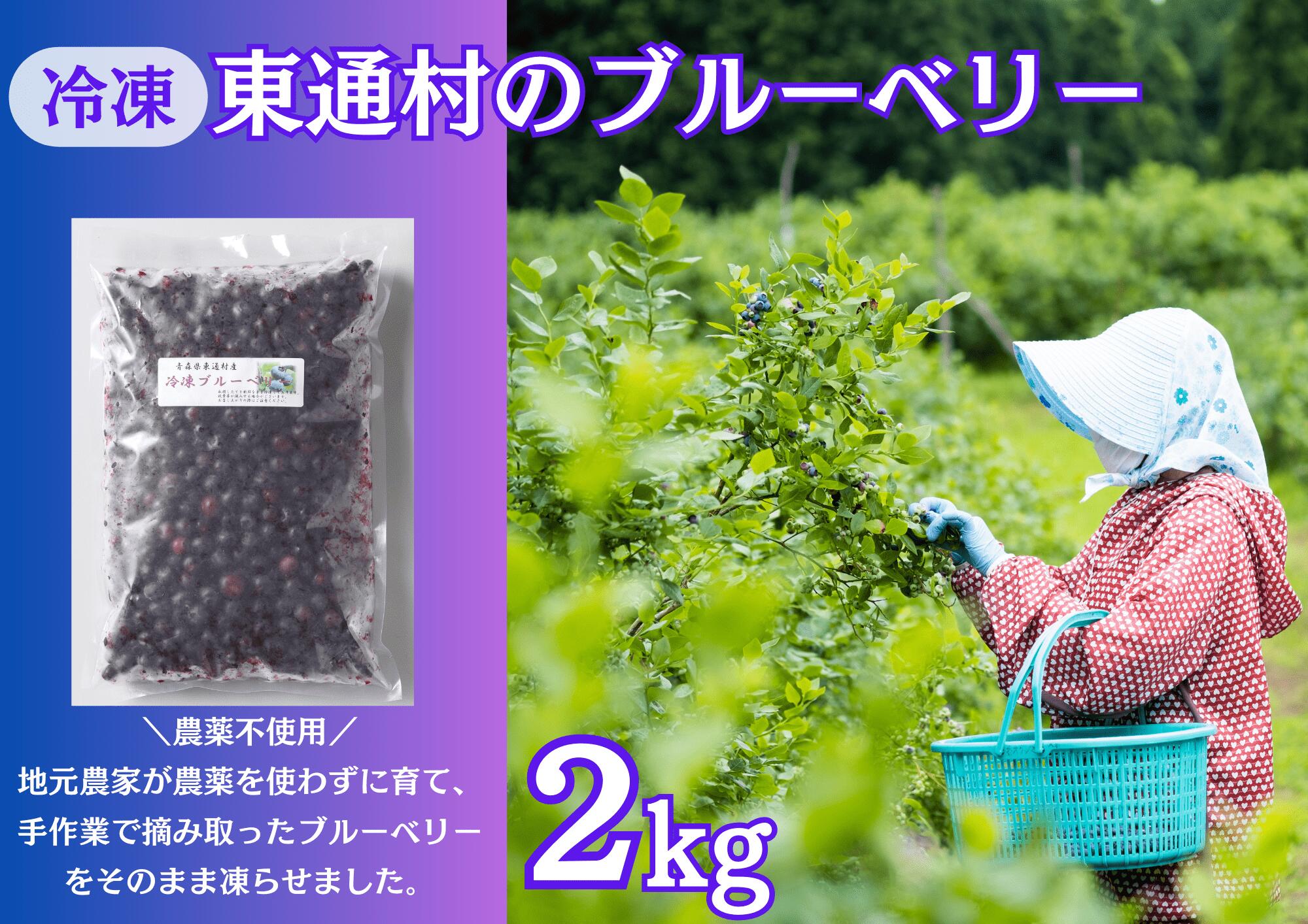 楽天市場】【ふるさと納税】冷凍ブルーベリー（5kg） : 青森県