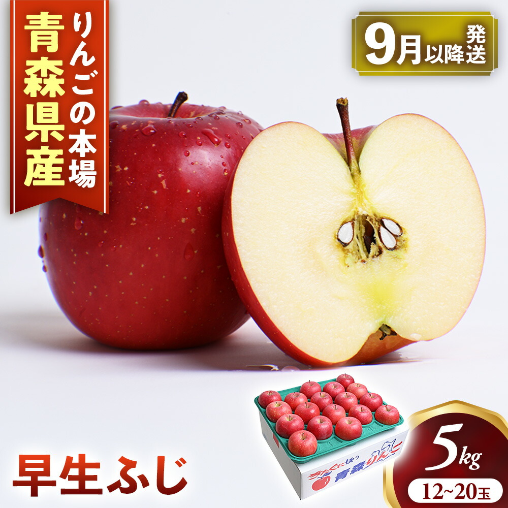 【ふるさと納税】【2026年産・先行予約】青森りんご【早生ふじ】約5kg（12～20玉） ★2026年9月下旬～10月下旬頃まで発送予定★ りんご 林檎 リンゴ 国産 早生 ふじ フルーツ 果物 贈答 土産 青森県 三戸町