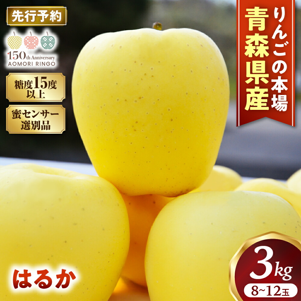 【ふるさと納税】【先行予約】 高級りんご はるか 約3kg 8～12玉 【2026年産 | 12月上旬～2027年1月上旬頃まで発送予定】 りんご 林檎 リンゴ 希少 はるか フルーツ 果物 国産 贈答 土産 青森県 三戸町