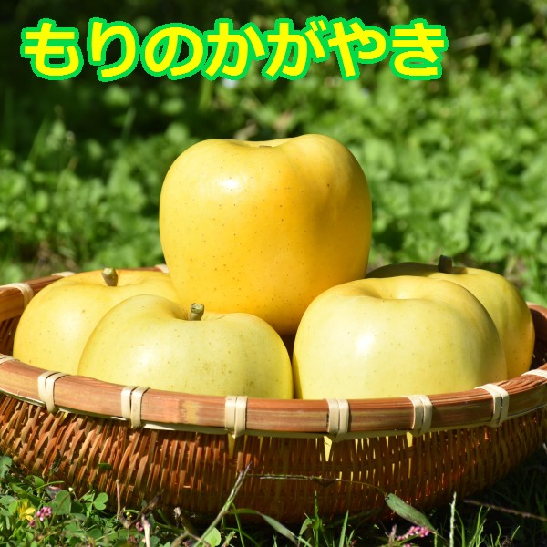【ふるさと納税】希少！青森りんご【もりのかがやき】約5kg（10～20玉）【2025年産・先行予約】<br>★2025年10月上旬～10月下旬頃まで発送予定★<br>りんご 林檎 フルーツ 果物 果実 青森 青森県 青森県産 三戸 三戸町 ギフト プレゼント 産地直送 農家直送 送料無料