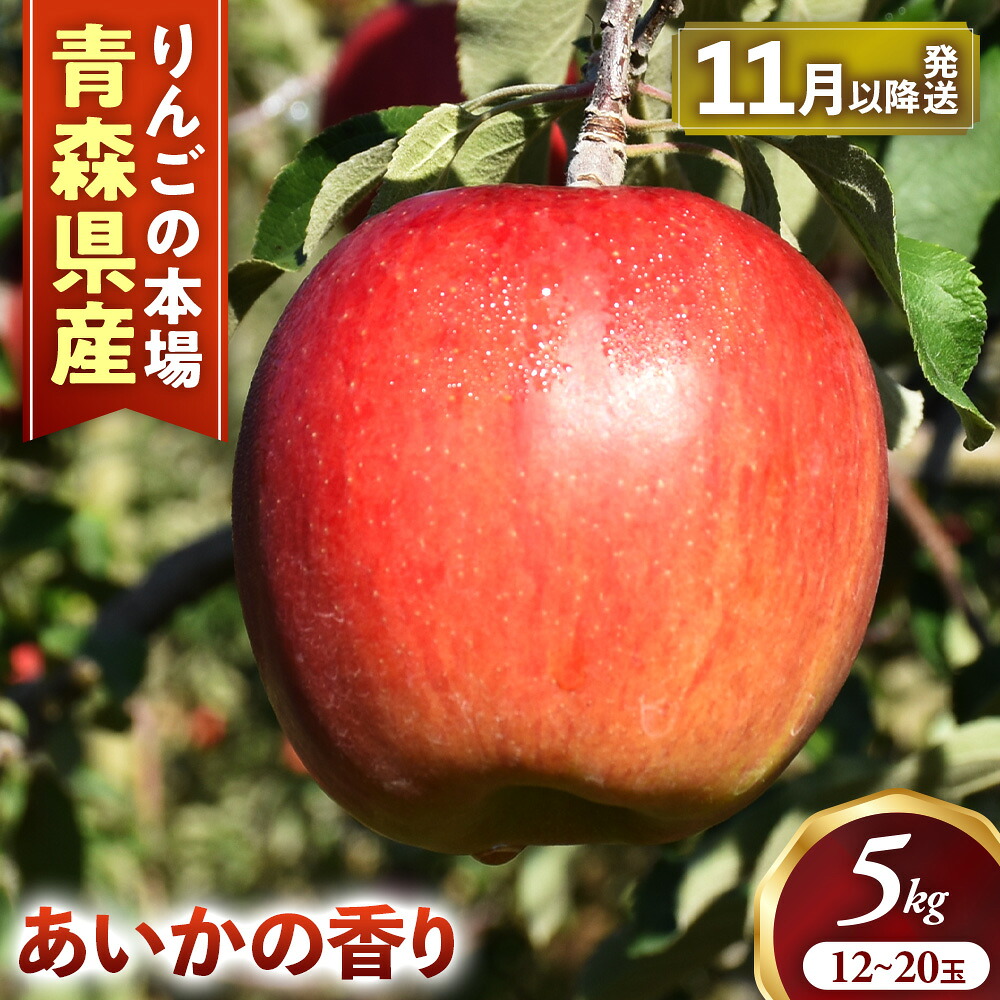 【ふるさと納税】【先行予約】青森りんご【あいかの香り】約5kg（12～20玉）【2026年産】 ★2026年11月中旬～1月上旬頃まで発送予定★ りんご 林檎 リンゴ 国産 あいかの香り 大玉 フルーツ 果物 贈答 土産 青森県 三戸町