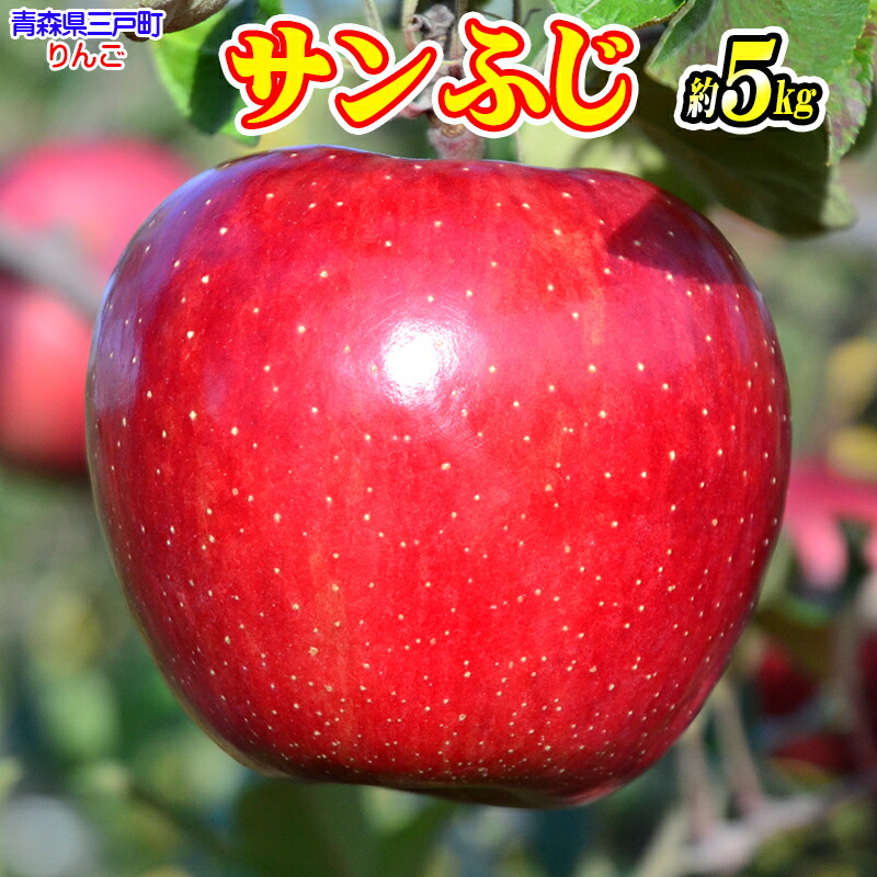 【ふるさと納税】人気No.1 青森りんご<br>【サンふじ】約5kg（12～20玉）【2025年産・先行予約】<br>★2025年11月下旬頃より順次発送予定★<br> りんご 林檎 フルーツ 果物 果実 青森 青森県 青森県産 三戸 三戸町 ギフト プレゼント 産地直送 農家直送 ふるさと 送料無料