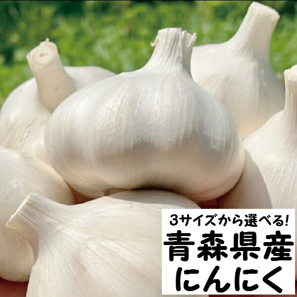 【ふるさと納税】にんにく・青森県産福地ホワイト種【2024年産】 中/大/特大 サイズを選べる！  <br>高品質 大蒜 ニンニク ガーリック 国産 薬味 スタミナ 野菜 おすすめ 送料無料 野菜 健康食品 免疫力向上 滋養強壮 ふるさと納税 上級 贈答 にんにく ラーメン