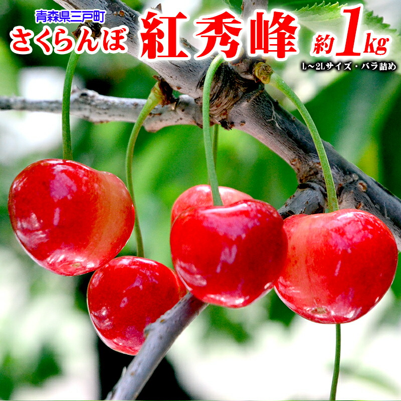 【ふるさと納税】さくらんぼ【紅秀峰】<br> 約1kg（L～2Lサイズ）バラ詰め【2025年産・先行予約】<br>★2025年6月下旬～7月中旬頃にかけて順次発送予定★