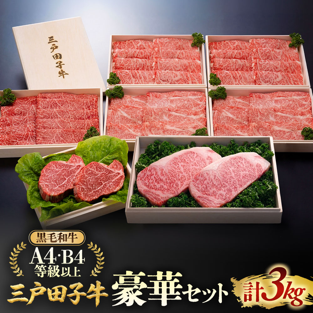 【ふるさと納税】「三戸田子牛」豪華セット 合計3kg【リブロース400g・サーロイン200g&times;2・ヒレ150g&times;2・肩ロース500g&times;2・モモ450g&times;2】化粧箱入り黒毛和牛A4・B4等級以上 国産牛 肉 霜降り 牛 青森県 牛肉 希少 送料無料｜青森県三戸町