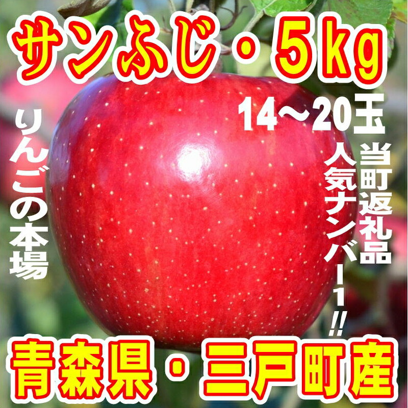 【ふるさと納税】【2020年産・先行受付】リンゴ「サンふじ」14~20玉 約5kg