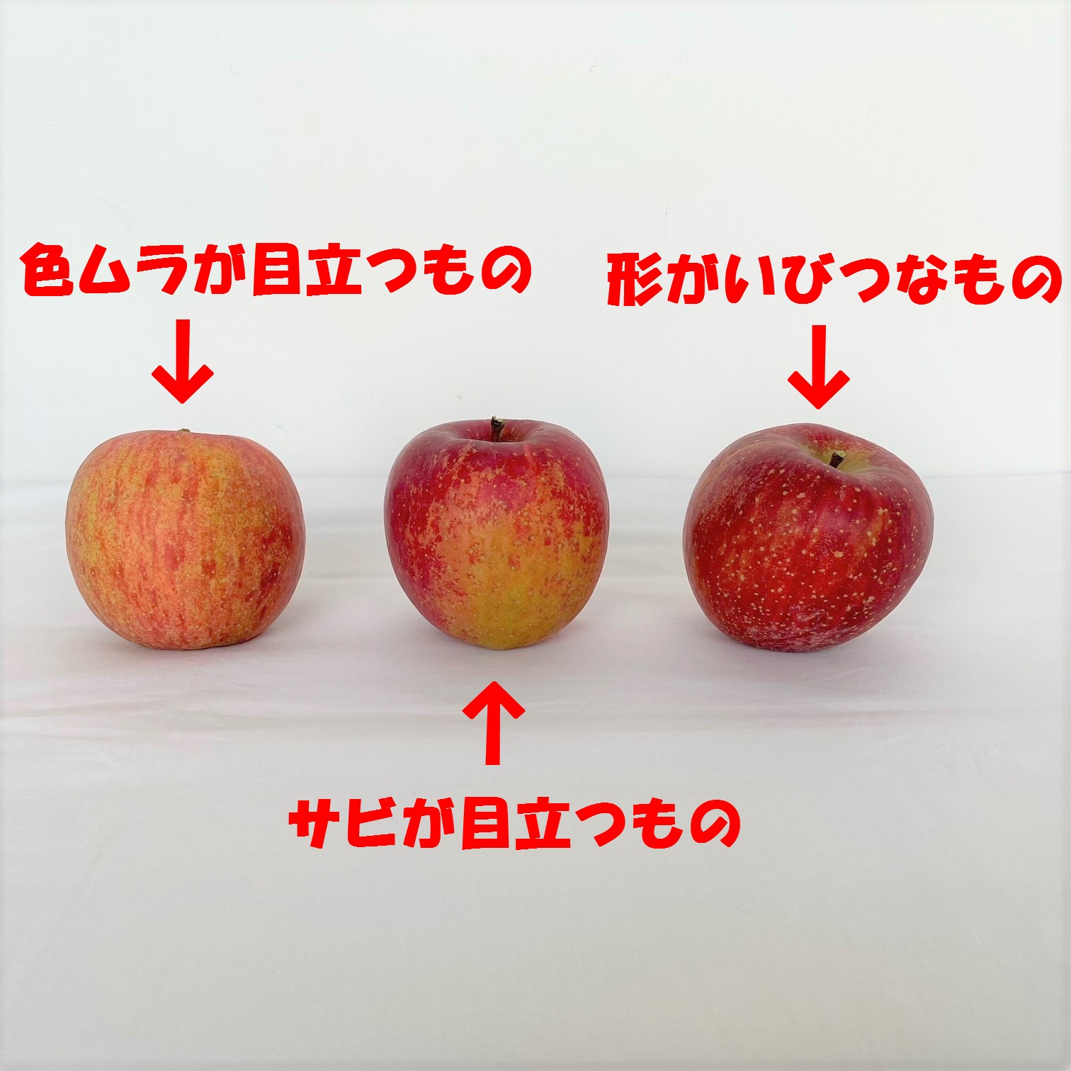 人気ブラドン 青森りんご訳あり サンふじ 32〜44玉約10kg 先行受付分青森県産 リンゴ 三戸町 林檎 フルーツ 果物 農家直送 産地直送 わけあり  家庭用 不揃い 傷あり fucoa.cl