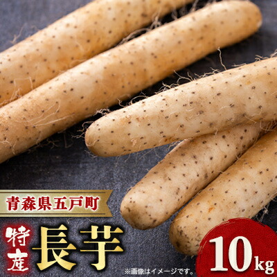 【ふるさと納税】【青森県五戸町特産】長芋　10kg【配送不可地域：離島・沖縄県】【1017943】