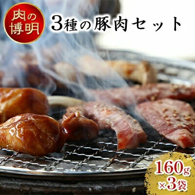 【ふるさと納税】【ヤキニクストック】3種の豚肉セット 160g×3袋【肉の博明】【焼肉セット】【国産】　 お肉 豚肉 焼肉 バーベキュー 肉の加工品 塩 サガリ ネギ塩 カルビ ストック おかず 味付け肉
