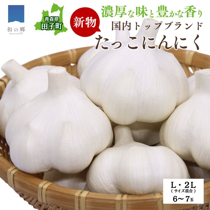 【ふるさと納税】令和7年産新物！日本一ブランドたっこにんにく6～7玉（青森県田子町産にんにくL～2Lサイズ混合）　薬味・野菜・根菜・にんにく　お届け：9月1日～9月30日