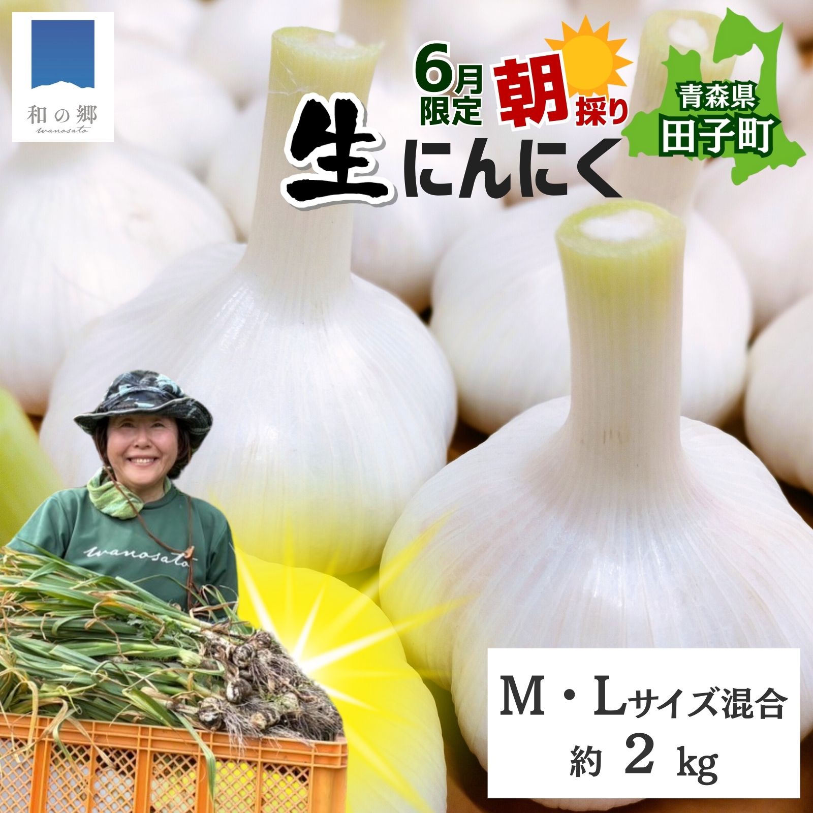 【ふるさと納税】令和8年産朝採り直送！田子（たっこ）生にんにく約2kg（青森県田子町産にんにくM～Lサイズ混合）　 薬味 ハーブ トップブランド 貴重 掘りたて 幻の味 新鮮 甘さ 濃い味 季節限定 　出荷開始：6月20日～6月30日