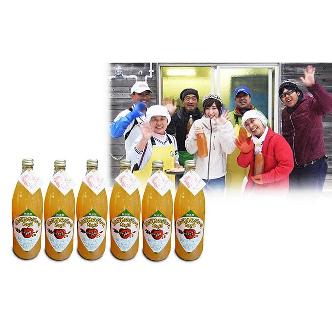 【ふるさと納税】田子の無添加りんごジュース1L&times;6本 向井邦雄さん生産直送　【果物類・林檎・リンゴ・飲料類・果汁飲料・りんご・ジュース】｜青森県田子町