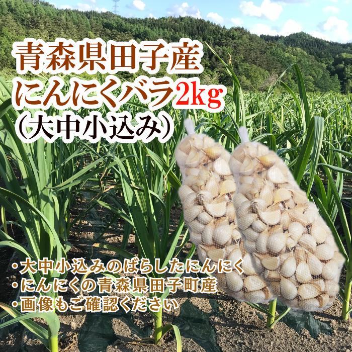 【ふるさと納税】青森県田子産にんにくバラ（訳あり）2kg　お届け：10月15日～4月30日まで