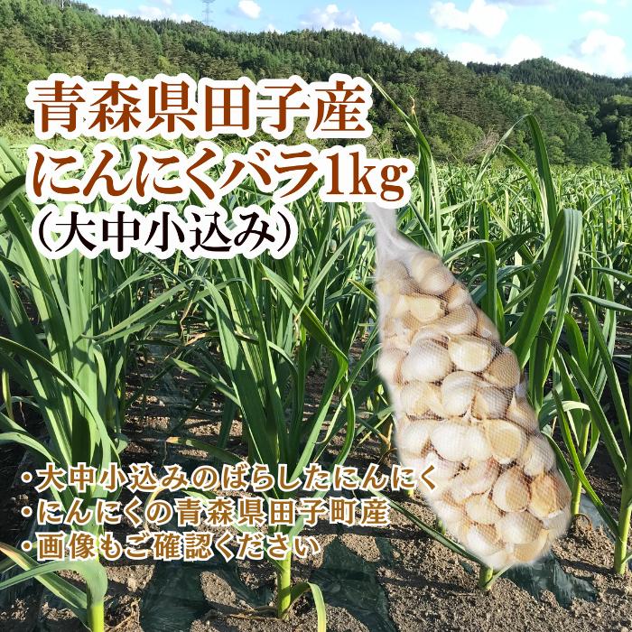 【ふるさと納税】田子産にんにく約1kg（MサイズA～B品）　薬味・野菜・根菜・加工食品・乾物　お届け：10月15日～4月30日まで