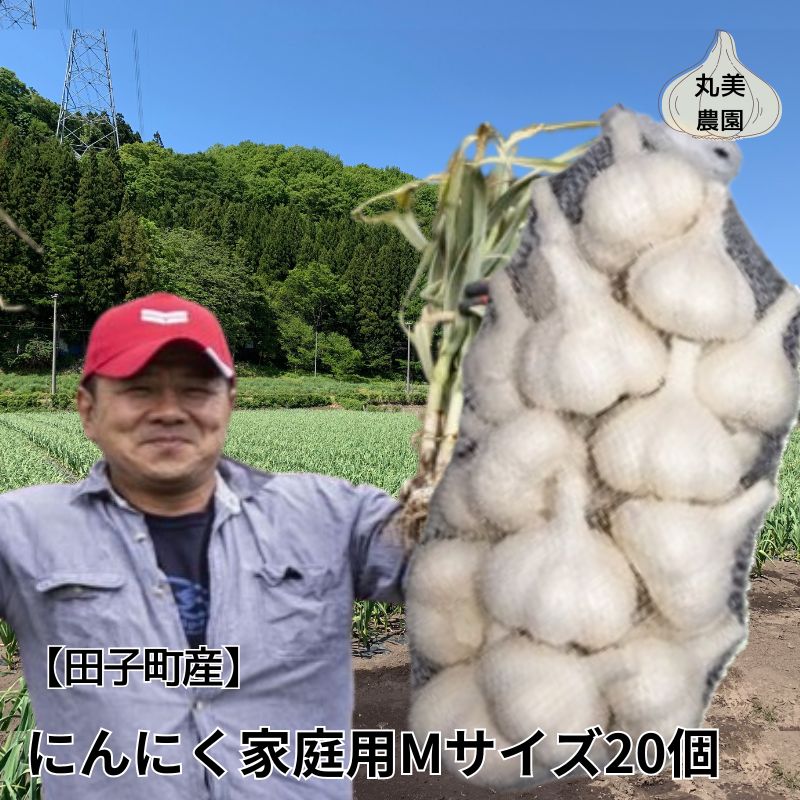 【ふるさと納税】丸美農園 田子産家庭用にんにく（M）20個　 薬味 にんにく 田子町産 家庭用 野菜 たっこにんにく 　お届け：10月1日～3月31日まで