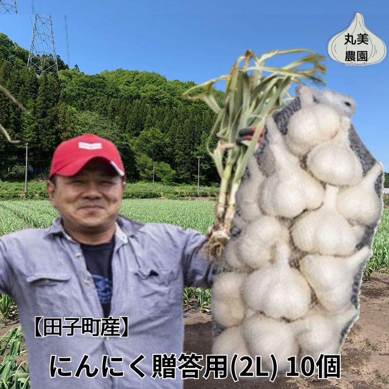 【ふるさと納税】丸美農園 田子産贈答用にんにく（2L）10個　 薬味 にんにく 田子町産 贈答用 野菜 たっこにんにく 　お届け：10月1日～3月31日まで
