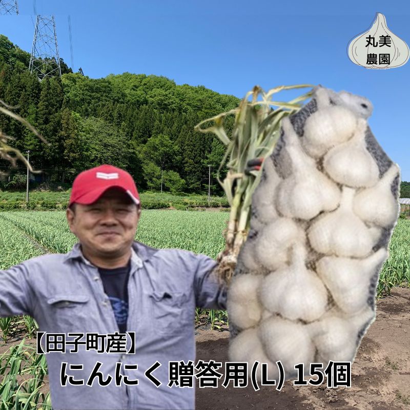 【ふるさと納税】丸美農園 田子産贈答用にんにく（L）15個　 薬味 にんにく 田子町産 贈答用 野菜 たっこにんにく 　お届け：10月1日～3月31日まで
