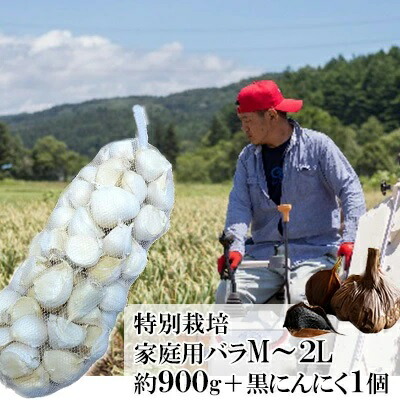 【ふるさと納税】丸美農園 田子産特別栽培にんにく 家庭用バラ（M～2L）約900g＋黒にんにく 1個　 野菜 香味野菜 薬味 青森にんにく 食材 スタミナ ガーリック 食欲増進 丸焼き 丸揚げ 揚げにんにく ホイル焼き セット 　お届け：8月1日～3月31日まで