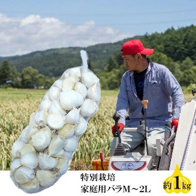 【ふるさと納税】丸美農園 田子産特別栽培にんにく 家庭用バラ（M～2L）約1kg　 野菜 香味野菜 薬味 青森にんにく 食材 調理 料理 国産 スタミナ ガーリック 食欲増進 アクセント 丸焼き 丸揚げ 揚げにんにく ホイル焼き 　お届け：10月1日～3月31日まで
