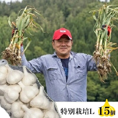 【ふるさと納税】丸美農園 田子産特別栽培にんにく（L）15個　 野菜 香味野菜 薬味 青森にんにく 食材 調理 料理 国産 スタミナ ガーリック 食欲増進 アクセント 丸焼き 丸揚げ 揚げにんにく ホイル焼き 　お届け：10月1日～3月31日まで