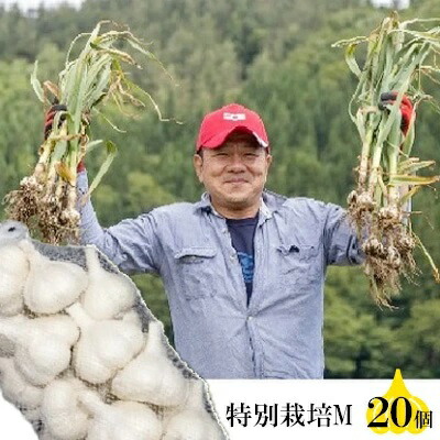 【ふるさと納税】丸美農園 田子産特別栽培にんにく（M）20個　 野菜 香味野菜 薬味 青森にんにく 食材 調理 料理 国産 スタミナ ガーリック 食欲増進 アクセント 丸焼き 丸揚げ 揚げにんにく ホイル焼き 　お届け：10月1日～3月31日まで