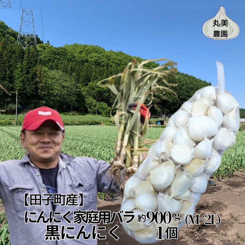 【ふるさと納税】丸美農園 田子産にんにく家庭用バラ 約900g（M～2L）＋黒にんにく 1個　薬味・ニンニク・青森県産　お届け：8月1日～3月31日まで