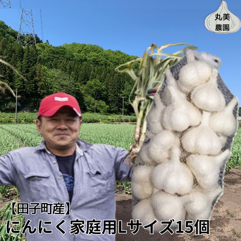 【ふるさと納税】丸美農園 田子産にんにく家庭用Lサイズ 15個　薬味・ニンニク・青森県産　お届け：10月1日～3月31日まで