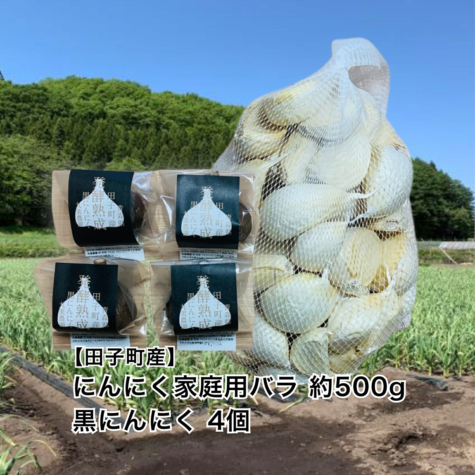 【ふるさと納税】丸美農園 田子産にんにく家庭用バラ 約500g＋黒にんにく 4個　薬味・ニンニク・青森県産　出荷開始：8月1日～3月31日