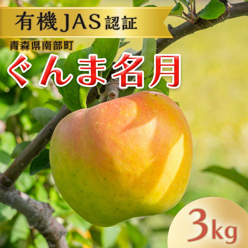 【ふるさと納税】 有機JAS認証 りんご ぐんま名月 約3kg 【和楽堂りんご養生農苑】 青森りんご リンゴ 林檎 アップル 果物 くだもの フルーツ オーガニック 無農薬 おすすめ あおもり 青森県 三戸 南部町 F21U-321