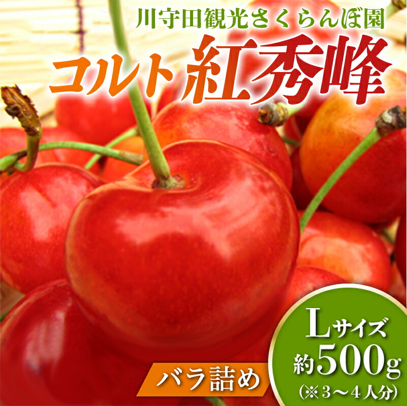 【ふるさと納税】 さくらんぼ 「コルト紅秀峰 Lサイズ」 バラ (約500g) ※3～4人分 【川守田観光さくらんぼ園】 フルーツ王国 南部町 サクランボ チェリー 桜桃 果物 くだもの フルーツ 夏果実 高級 贈答 ギフト 産地直送 青森県産 デザート 旬 F21U-159