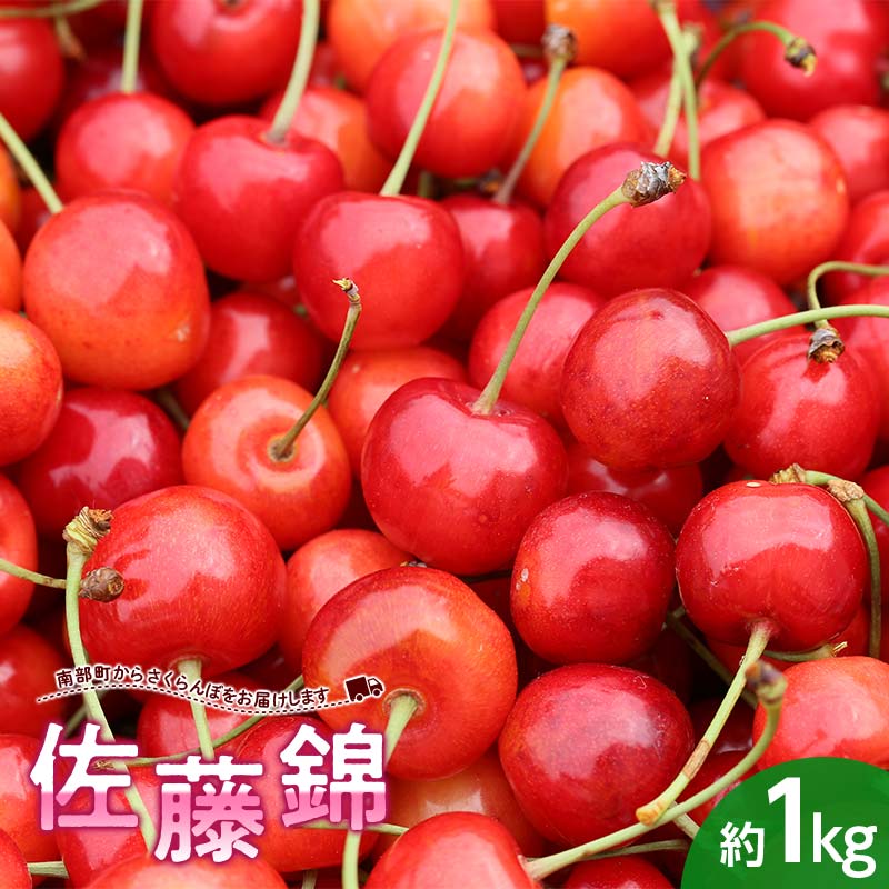 【ふるさと納税】 さくらんぼ 佐藤錦 約1kg (バラ詰め) 《西塚農園》 サクランボ チェリー 果物 くだもの フルーツ 夏果実 桜桃 高級 贈答 ギフト F21U-317