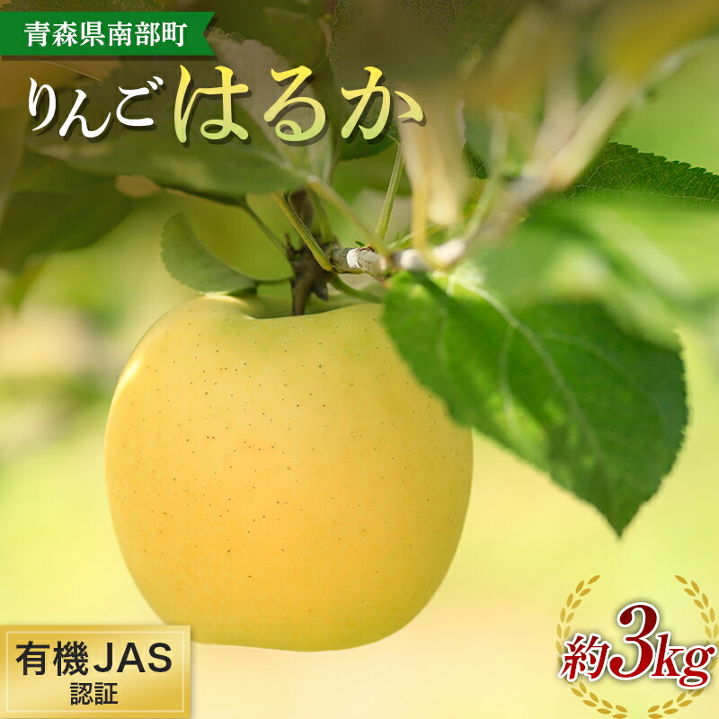 【ふるさと納税】 有機JAS認証 りんご はるか 約3kg 【和楽堂りんご養生農苑】青森りんご リンゴ 林檎 アップル あおもり 青森 青森県 南部町 三戸 南部 果物 くだもの フルーツ オーガニック F21U-324