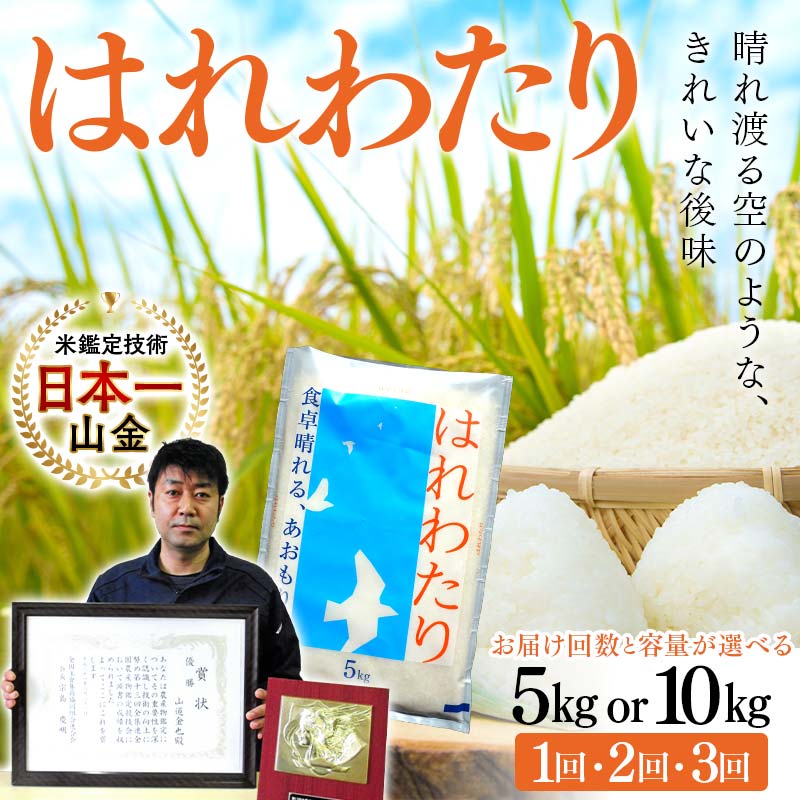 【ふるさと納税】 ＜お届け回数と容量が選べる定期便＞【コメ鑑定技術日本一の山金】 はれわたり（令和7年産） 5kg･10kg / 1回～3回 特A 白米 精米 米 お米 おこめ コメ 東北 青森県 南部町 容量が選べる F21U-343var