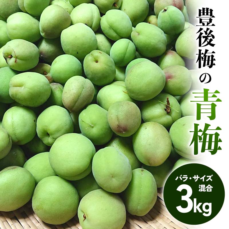 【ふるさと納税】 豊後梅の青梅 約3kg (バラ) ≪西塚農園≫ 梅 梅干し 梅酒 梅干 梅シロップ 梅ジャム 3キロ 数量限定 F21U-589