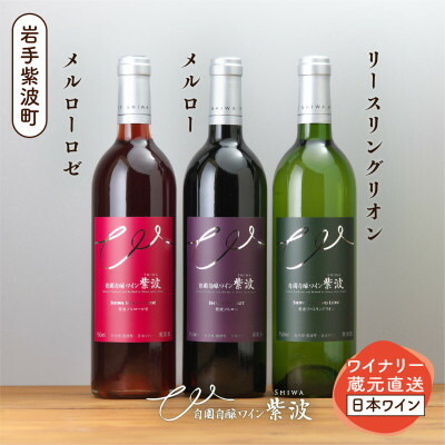 【ふるさと納税】自園自醸ワイン紫波 辛口ワイン3本セット【1688283】