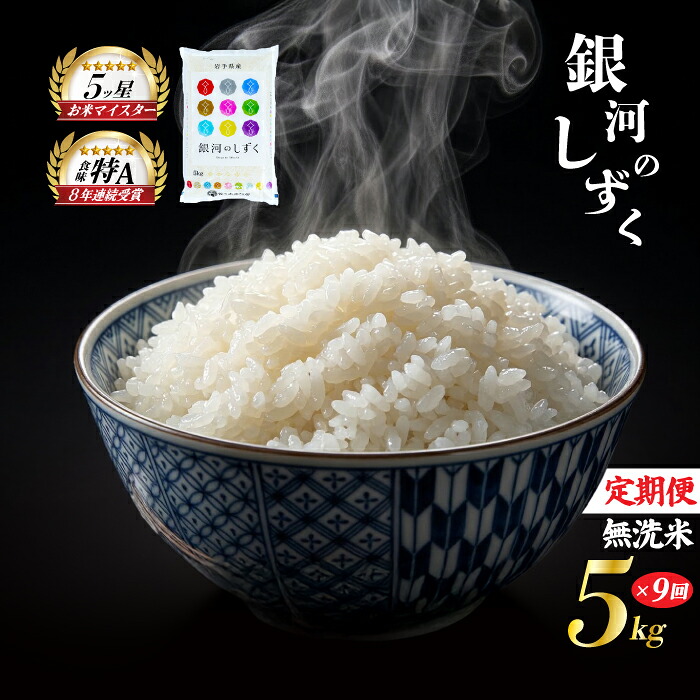【ふるさと納税】 銀河のしずく 無洗米 5kg 米 定期便 9回 9ヶ月 連続 お届け 盛岡市産 いわて米 ブランド米 精米 白米 米 お米 こめ コメ ライス ご飯 ごはん 美味しい おすすめ贈り物 ぎんがのしずく 国産 産地直送 盛岡 佐々木米穀店｜岩手県盛岡市
