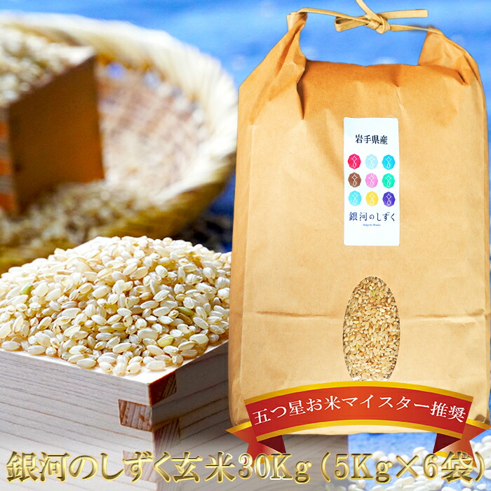 【ふるさと納税】 五つ星お米マイスター 厳選 盛岡市産 銀河のしずく 30kg 5kg×6袋 玄米 米 こめ コメ お米 ご飯 ごはん ライス グルメ 五つ星 5つ星 5ツ星 お米マイスター 5kg 5キロ 単品 単一原料米 銘柄米 小分け 国産 産地直送 盛岡 佐々木米穀店|岩手県盛岡市