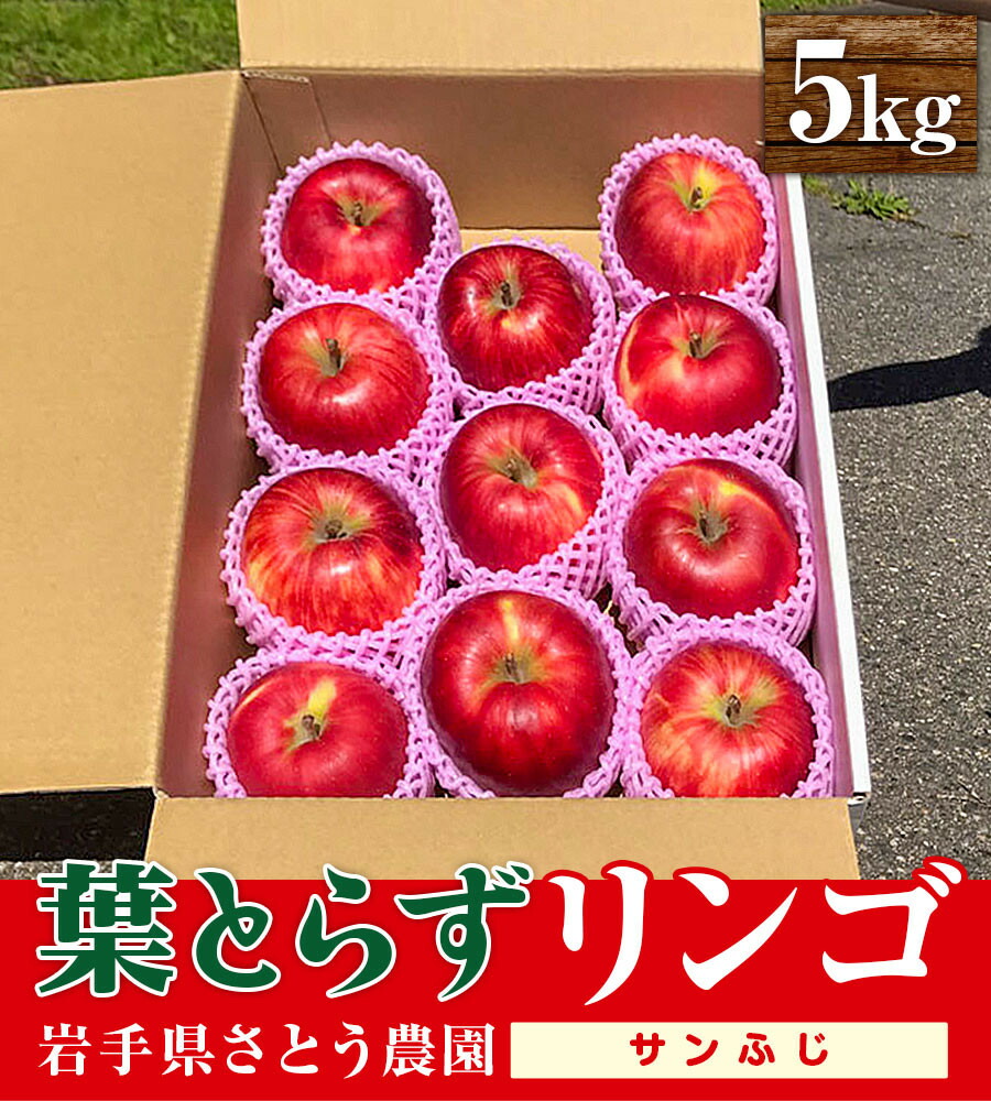 【ふるさと納税】りんご さとう農園の葉とらずリンゴ サンふじ 5kg 葉とらず 家庭用 フルーツ 果物 おやつ 冬 旬 旬のフルーツ 旬の果物 お取り寄せ 蜜入り 産地直送 岩手 盛岡市 予約 2025年　お届け：2025年12月～2026年1月下旬※大型連休等を除く