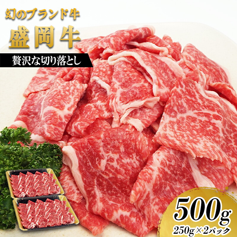 【ふるさと納税】 盛岡牛 切り落とし 500g 250g×2p 冷凍 盛岡産 黒毛和牛 国産 希少 霜降り 高級 贅沢 和牛 ブランド牛 赤身 切落し 赤身切り落とし ぎゅうにく 岩手県 盛岡市 赤身肉 カレー 肉じゃが 牛丼 牛肉 肉 小分け 焼肉 盛岡 有限会社トゥレイス|岩手県盛岡市