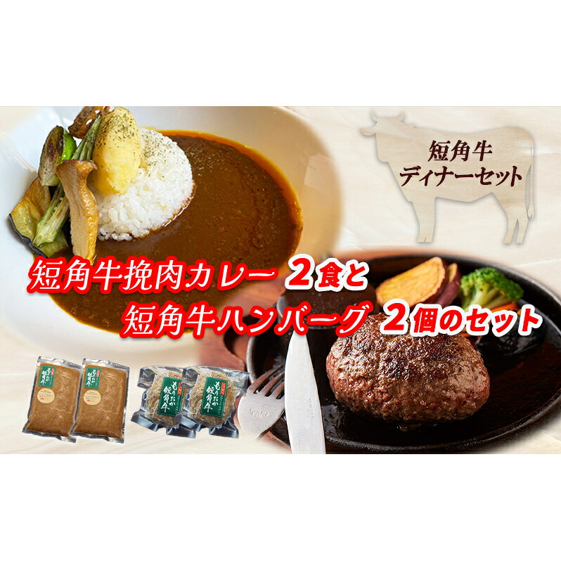 【ふるさと納税】 ブランド和牛 もりおか短角牛 ハンバーグ 2個 カレー 2食 セット 大人のカレー カレー 牛カレー 牛ハンバーグ お店の味 惣菜 おかず 夕食 岩手県 盛岡 パイオニアファーム 有限会社トゥレイス|岩手県盛岡市