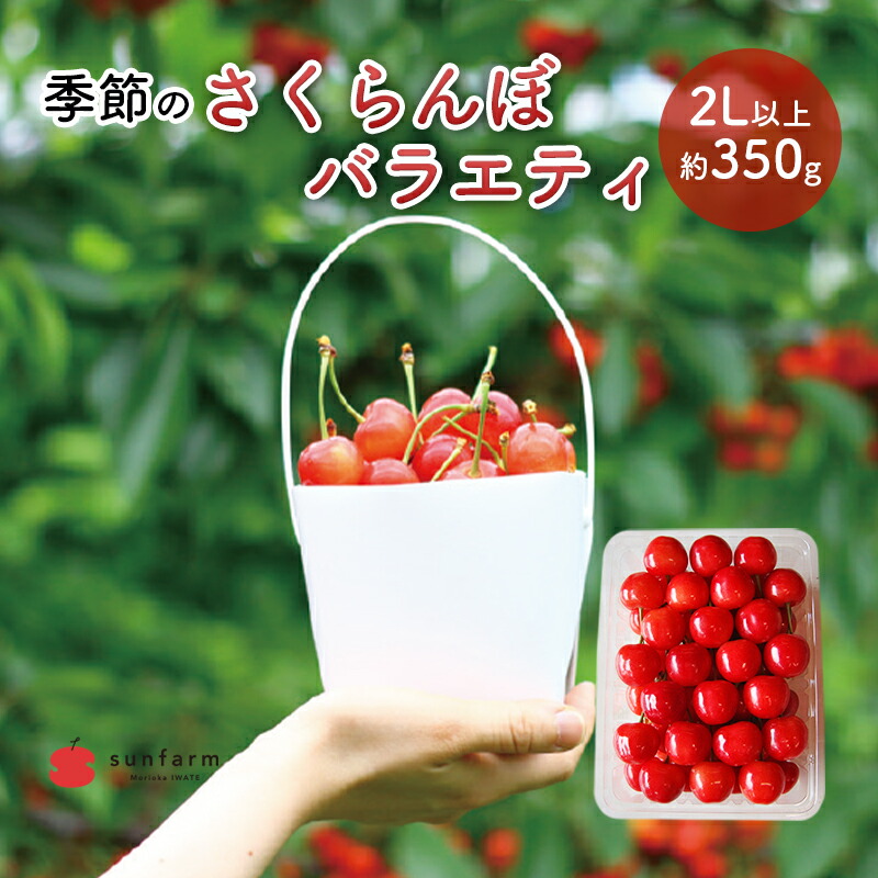 【ふるさと納税】盛岡市 サンファーム 季節のさくらんぼ バラエティ 2L以上 約350g※品種はお選びいただけません 果物類 フルーツ チェリー 　お届け：2025年6月15日～2025年7月5日