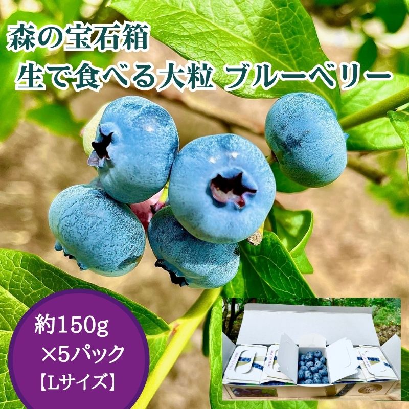 【ふるさと納税】森の宝石箱 生で食べる無農薬（栽培期間中）ブルーベリー 約150g×5パック Lサイズ 　お届け：2025年6月28日～2025年7月30日