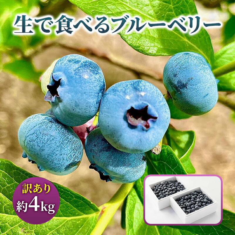 【ふるさと納税】訳あり 生で食べる ブルーベリー 4kg 果物 くだもの フルーツ 旬の果物 旬のフルーツ 季節の果物 季節のフルーツ 生ブルーベリー 訳アリ 岩手 岩手県 盛岡市　お届け：2025年6月28日～2025年7月30日