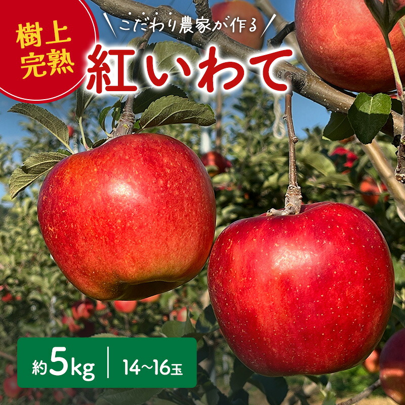 【ふるさと納税】 先行予約 紅いわて りんご 5kg 14～16玉 盛岡りんご 贈答 生産者直送 林檎 リンゴ 果物 フルーツ 旬の果物 岩手県 盛岡市 東北 岩手 盛岡 峰崎果樹園 minezaki001｜岩手県盛岡市