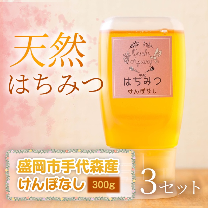 【ふるさと納税】 けんぽなし 蜂蜜 300g×3セット 国産 はちみつ 天然 無添加 無加工 盛岡市手代森産 季節の蜂蜜 希少 濃厚 上品な香り スイーツ ご褒美 美容 岩手県 盛岡市 東北 岩手 盛岡 大西養蜂場