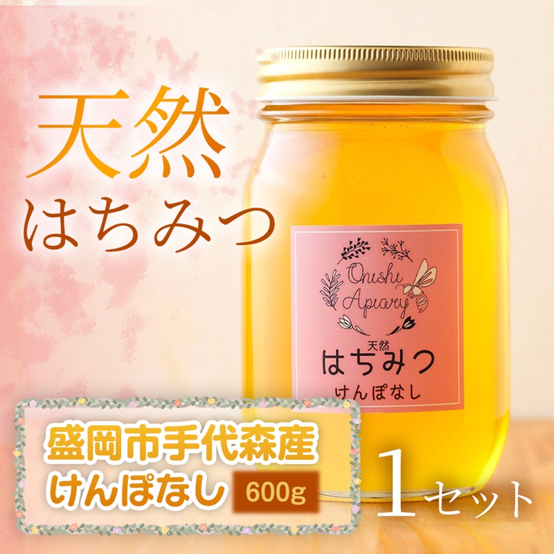 【ふるさと納税】 けんぽなし 蜂蜜 600g 1セット 国産 はちみつ 天然 無添加 無加工 盛岡市手代森産 季節の蜂蜜 希少 濃厚 上品な香り スイーツ ご褒美 美容 岩手県 盛岡市 東北 岩手 盛岡 大西養蜂場