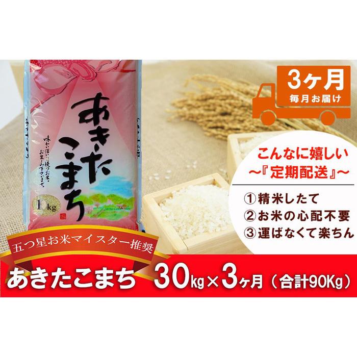 人気SALEセール YOUKI ユウキ食品 フライドガーリック 1kg×5個入り